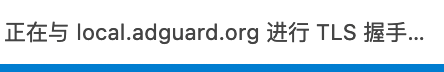 一张浏览器状态栏的特写截图，清晰地显示了在启用 Adguard 过滤后，页面加载时停滞在“正在与 local.adguard.org 进行 TLS 握手...”的状态，用以证明这是导致网页加载缓慢的原因